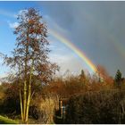 Regenbogenbogen