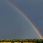 Regenbogenbrücke 1