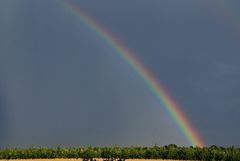 Regenbogenbrücke 1