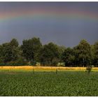 Regenbogenbrücke