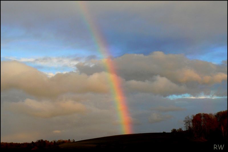 Regenbogenbrücke