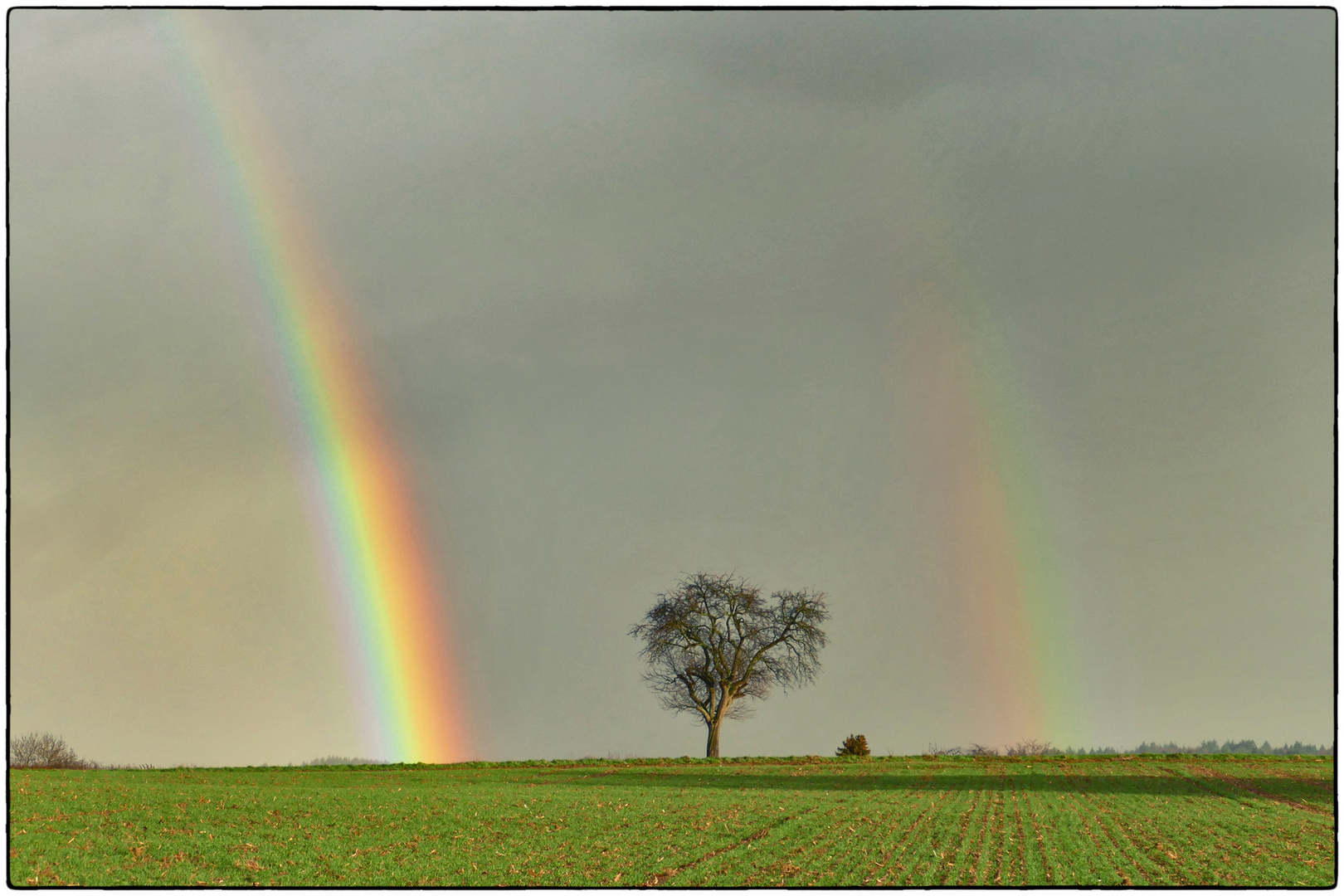 Regenbogenduett