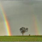 Regenbogenduett