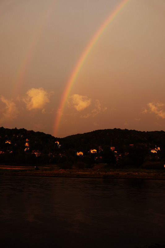 Regenbogenelbe