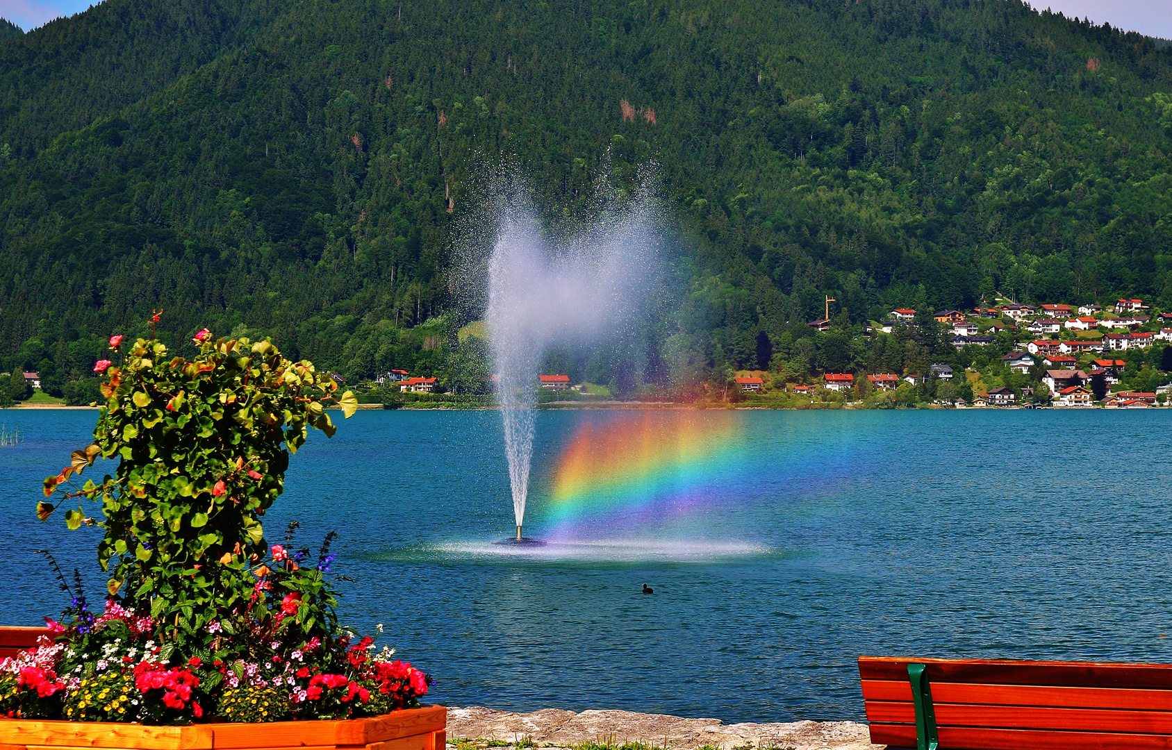 Regenbogenfahne