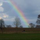 "Regenbogenfamilie"