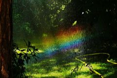 Regenbogenfarben