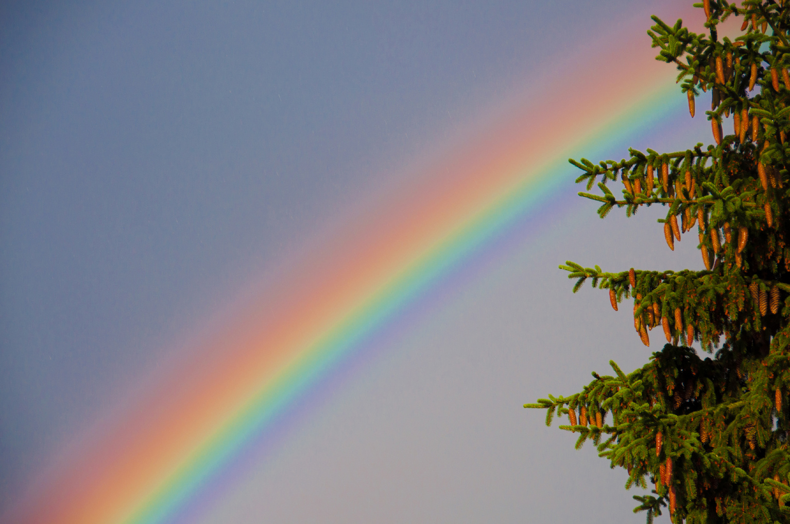 Regenbogenfarben Foto Bild Opt Phanomene Der Atmosphare Himmel Universum Regenbogen Bilder Auf Fotocommunity