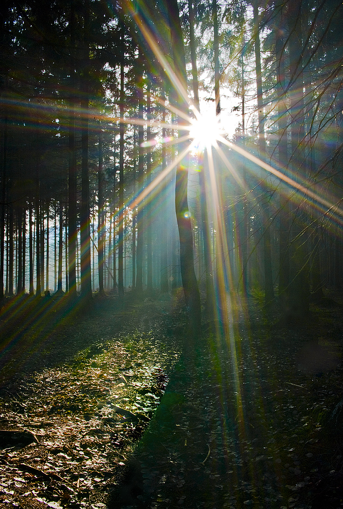 regenbogenfarbiges Sonnenlicht