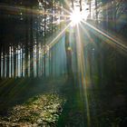 regenbogenfarbiges Sonnenlicht