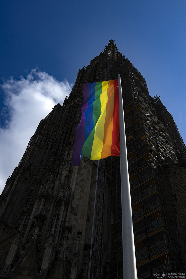 Regenbogenflagge vor Ulmer Münster