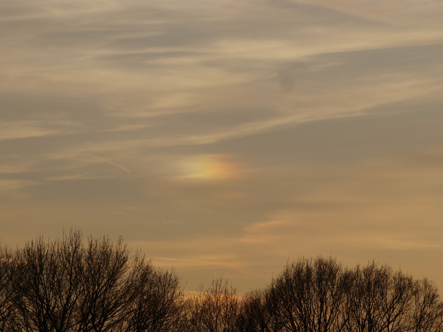 Regenbogenfleck