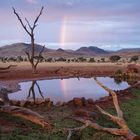 Regenbogenfortsetzung im See