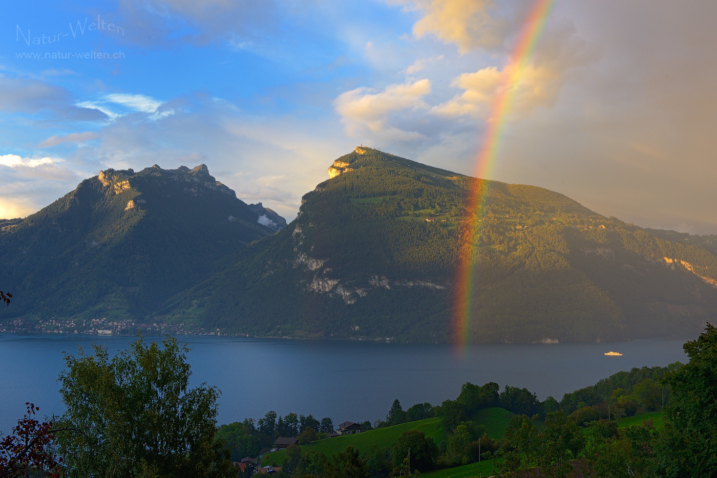 Regenbogenglück