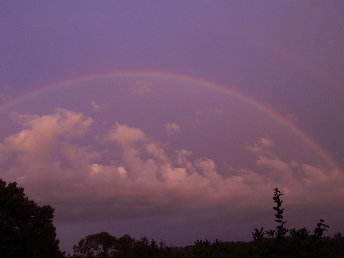 Regenbogenhaube!!!