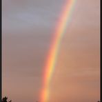 ...RegenBogen...III