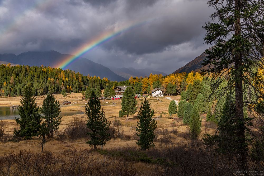 Regenbogenland