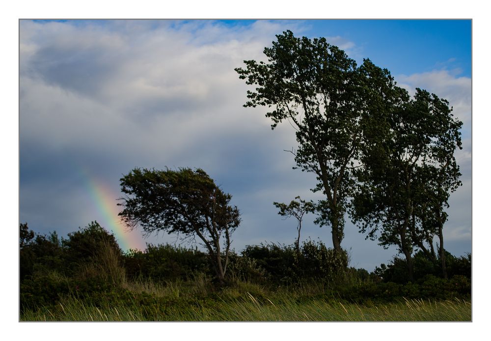 Regenbogenland