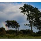 Regenbogenland