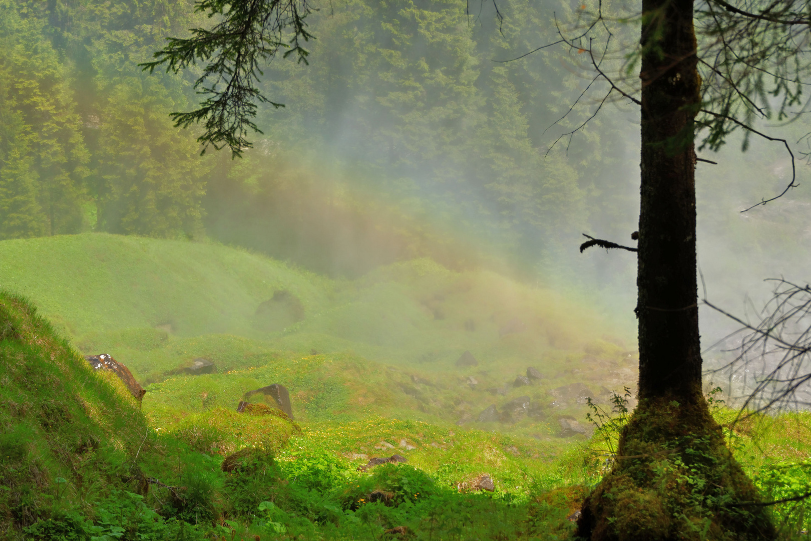 Regenbogenland