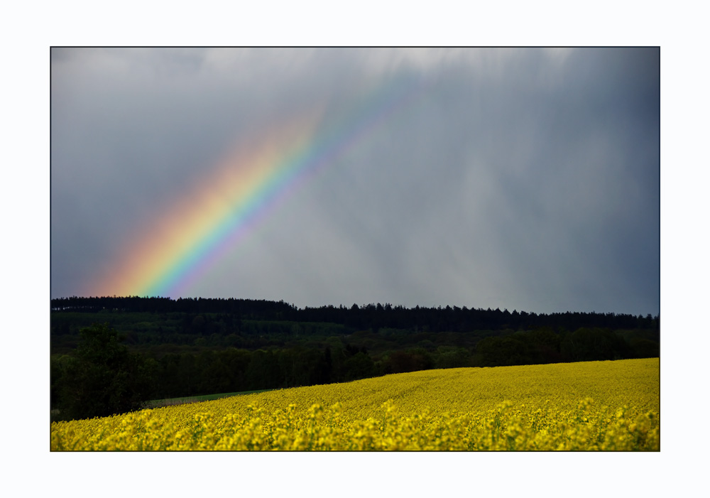 Regenbogenland