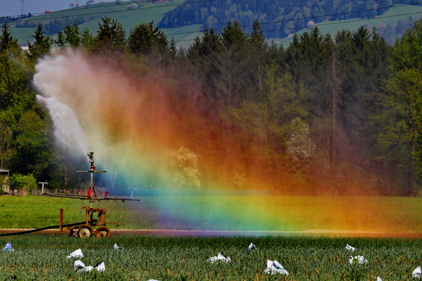 Regenbogenmaschine