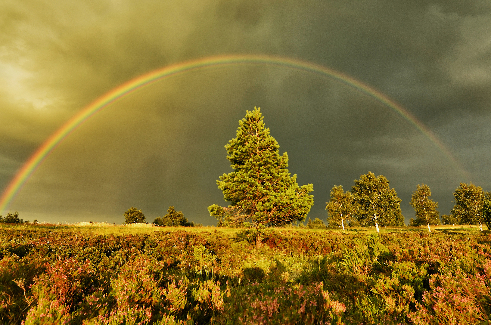 Regenbogenmaschine funktioniert :)