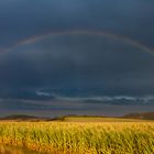 Regenbogen_nach_der_Arbeit auf der Ostalb__2188