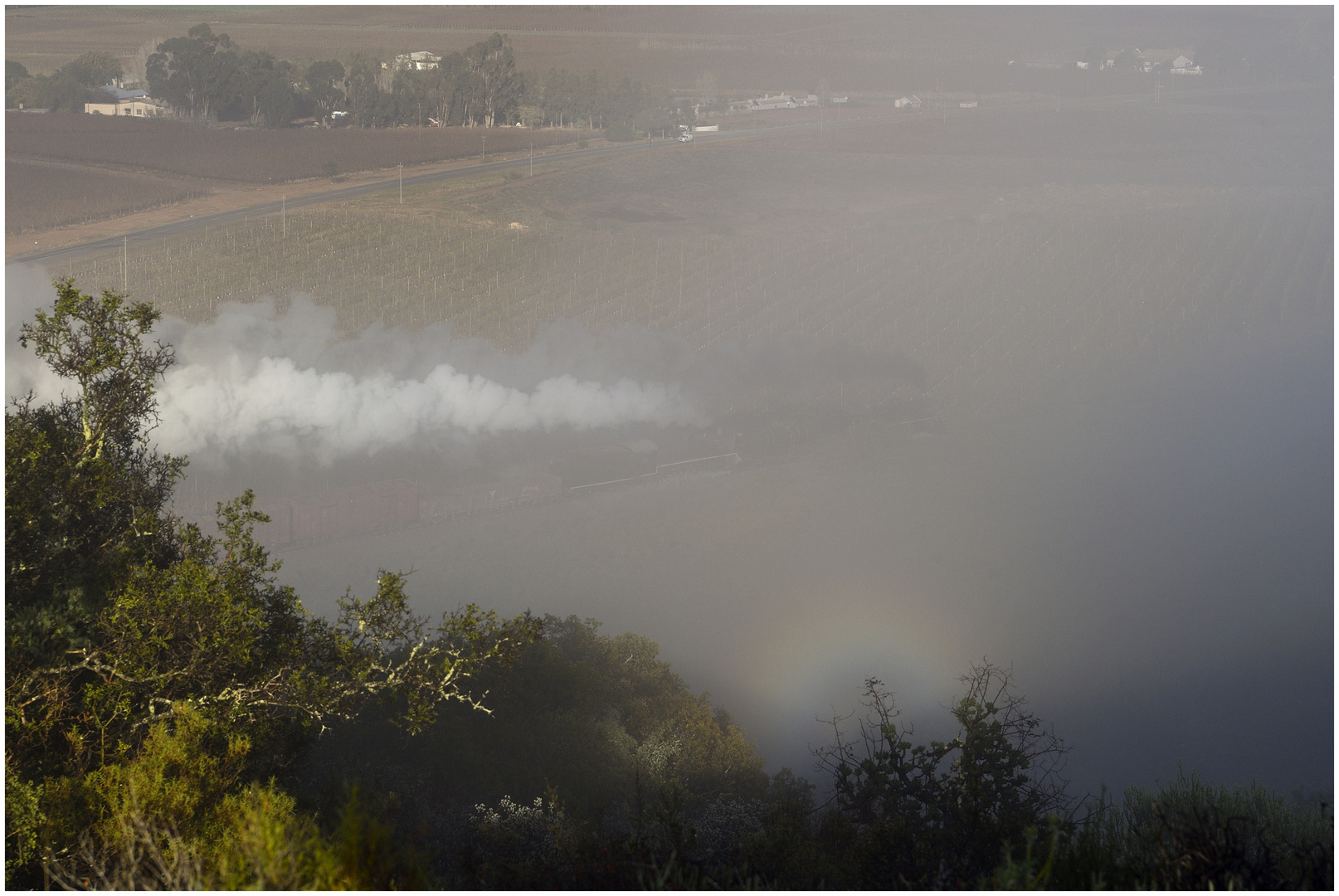 Regenbogennebel 