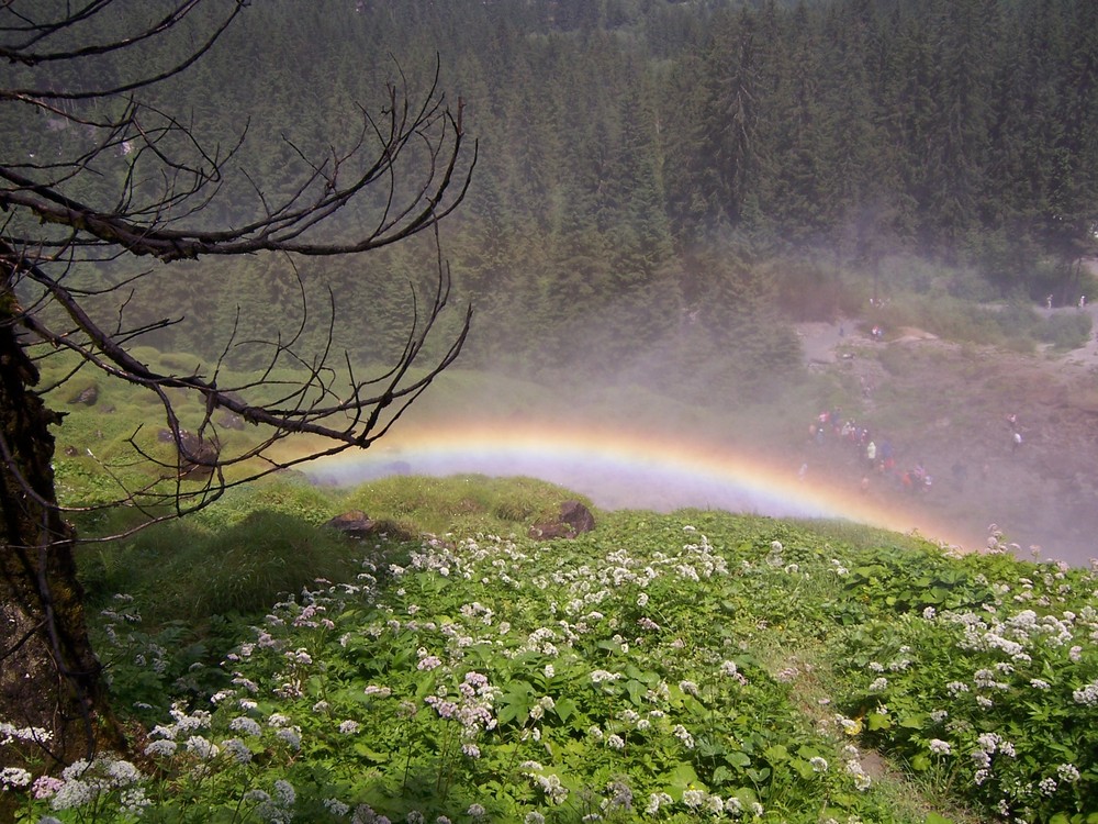 Regenbogen/Österreich