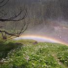 Regenbogen/Österreich