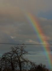 Regenbogenpärchen