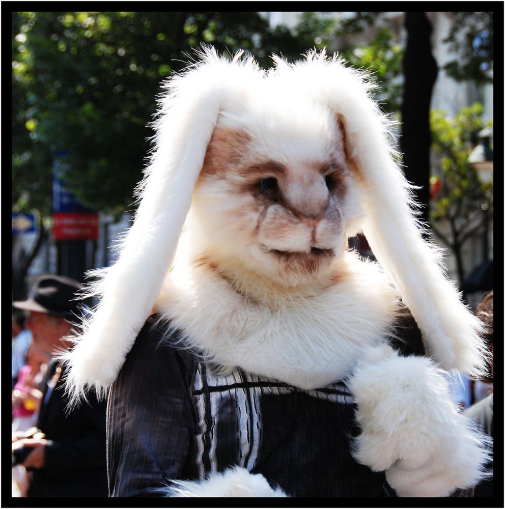 Regenbogenparade 2010