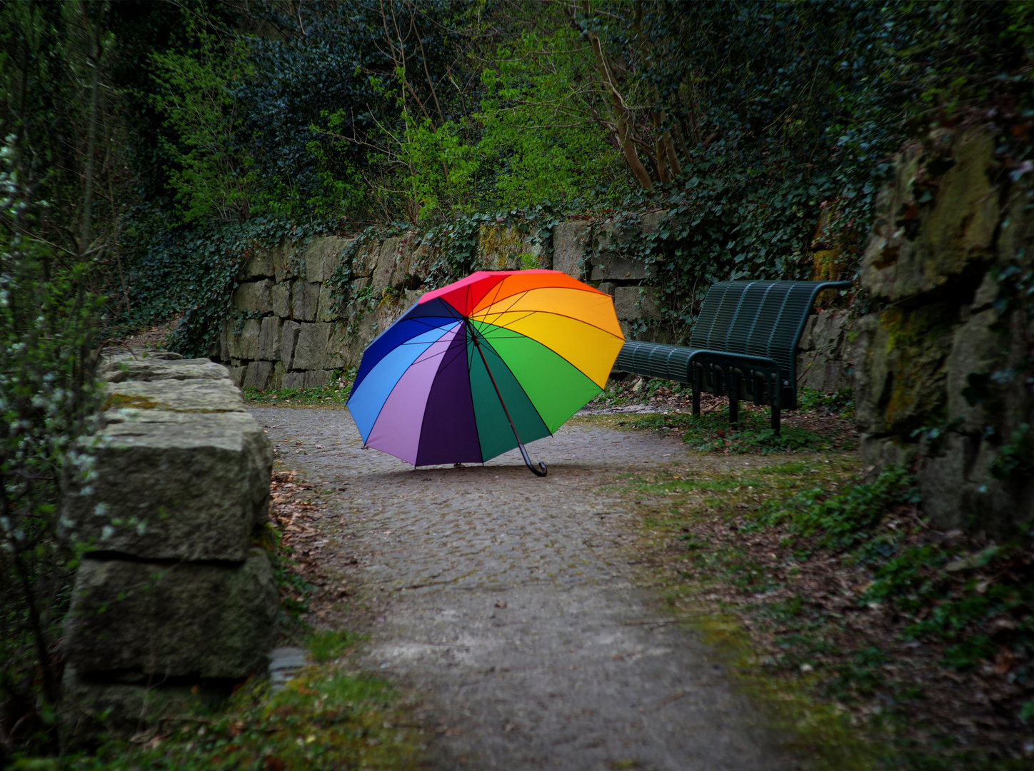 Regenbogenschirm Foto Bild Park Munchen Grun Bilder Auf Fotocommunity