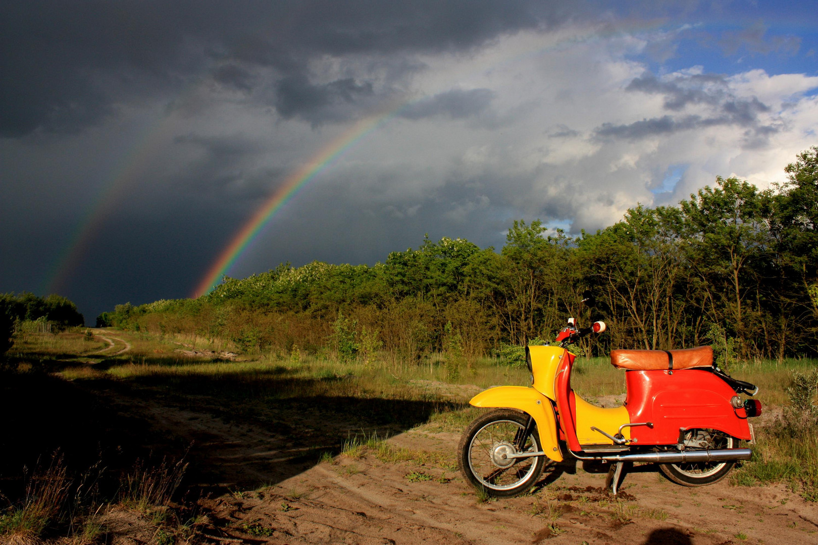 RegenbogenSchwalbe