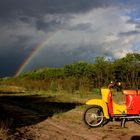 RegenbogenSchwalbe