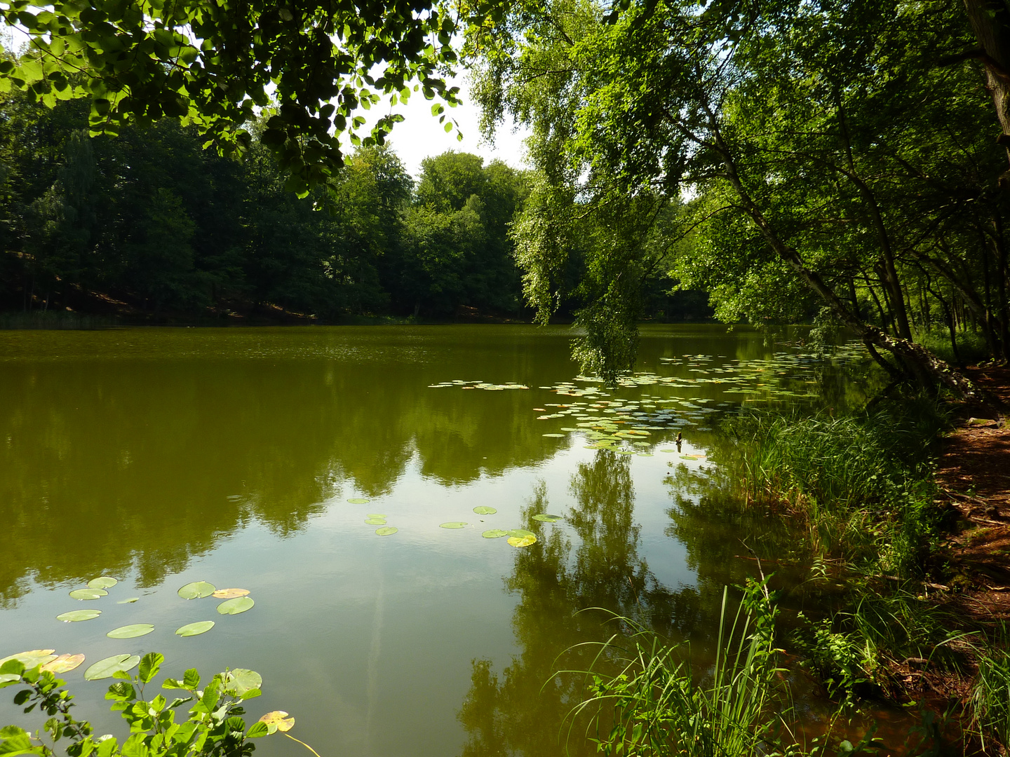 Regenbogensee