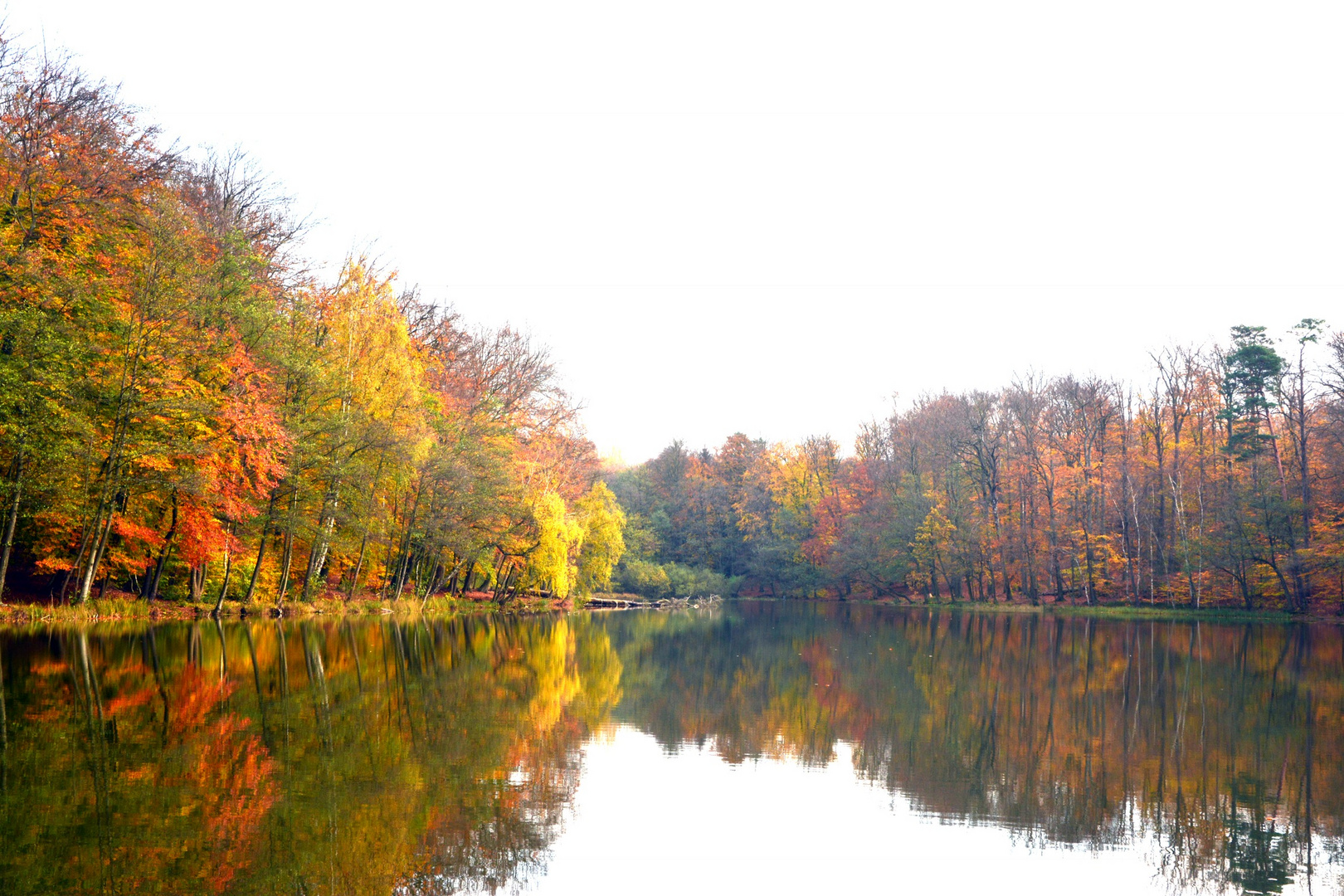 Regenbogensee im FarbenrauschA3E5B7E9-94BC-4536-94A3-E56E84EE62C2