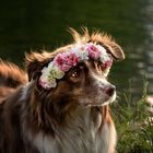 Regenbogenshooting mit Kate