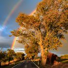 Regenbogenspektakel im herbstlichen Feldberger Land