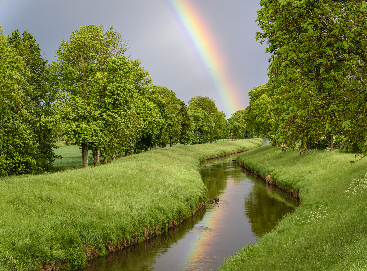 Regenbogenspiegelung in der Weschnitz