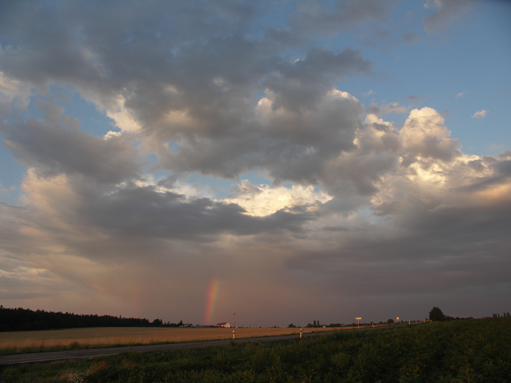 Regenbogenstumpf