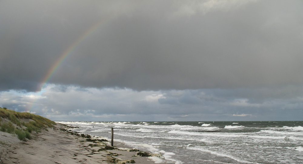 Regenbogentag