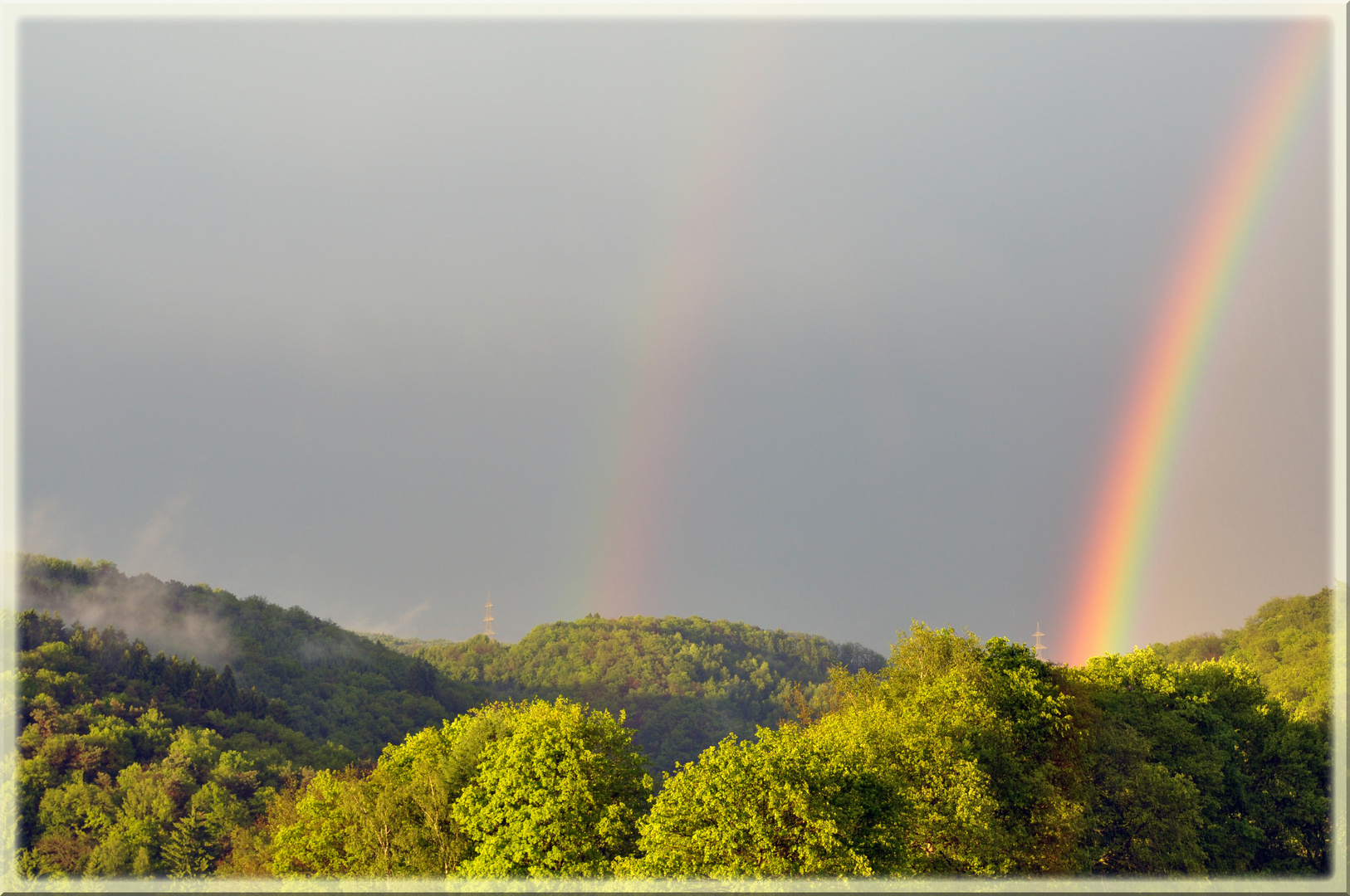 Regenbogenwald