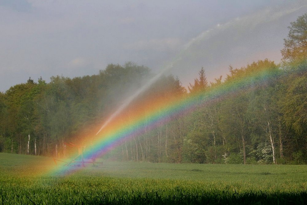 "Regenbogenwerfer"