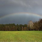 Regenbogenwetter