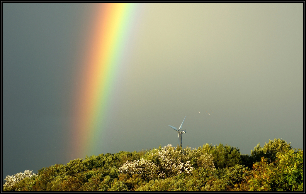 Regenbogenwetter