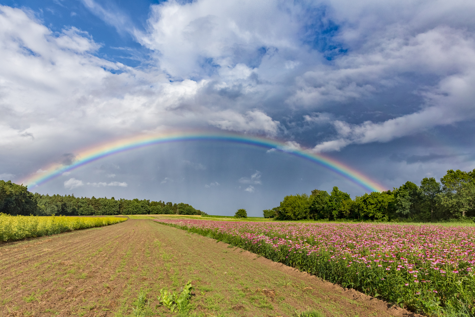 Regenbogenwetter