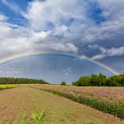 Regenbogenwetter