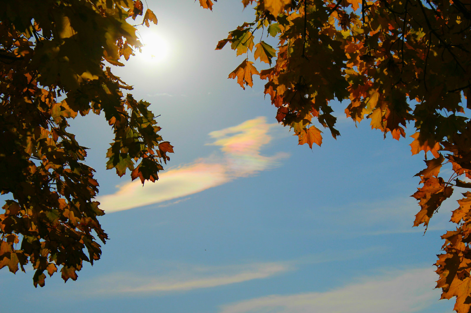 Regenbogenwolken über Neustadt Weinstrasse